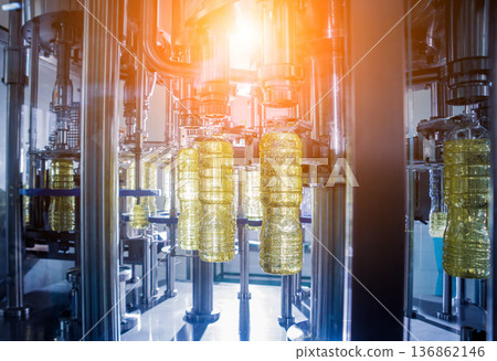 Bottling line of sunflower oil in bottles. Vegetable oil production plant. 136862146