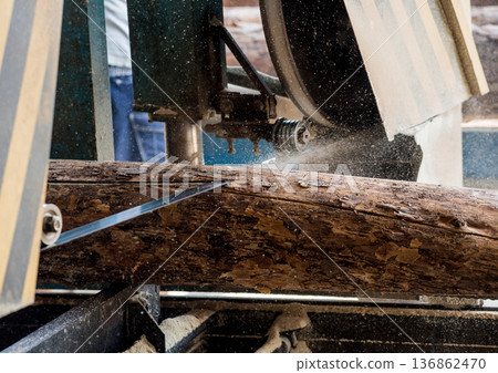 Modern sawmill. Industry sawing boards from logs 136862470