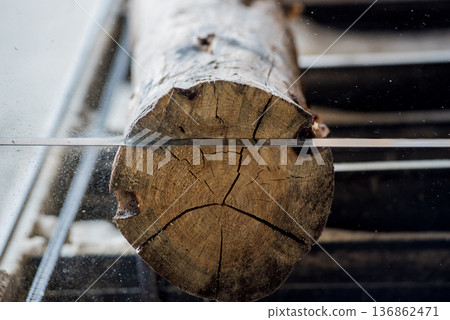 Modern sawmill. Industry sawing boards from logs Modern sawmill. Industry sawing boards from logs 136862471