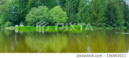 Tranquil Panoramic Lake Landscape with Lush Green Forest Reflection 136863011