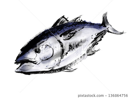 Japanese-style brush-drawn illustration of tuna 136864756