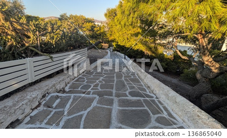 Cobblestone steps and trees seen from above  136865040
