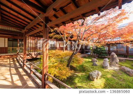 京都的秋天：建仁寺春庭的秋葉 136865060