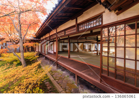 Autumn in Kyoto: Autumn leaves at the Choon Garden at Kenninji Temple Autumn in Kyoto: Autumn leaves at the Choon Garden at Kenninji Temple 136865061