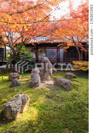 京都的秋天：建仁寺春庭的秋葉 136865065