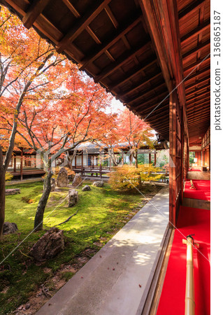 京都的秋天:建仁寺春庭的秋葉 京都的秋天:建仁寺春庭的秋葉 136865187