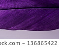 Studio shot macro photo colored bird feathers 136865422