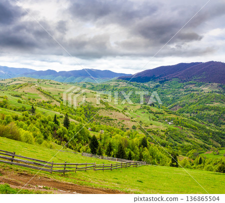 rolling hills of rural landscape in green grass. wooden fence in carpathian mountains. alpine countryside in spring. cloudy sky. remote place for outdoor adventures. concept for wellness and escape rolling hills of rural landscape in green grass. wooden fence in carpathian mountains. alpine countryside in spring. cloudy sky. remote place for outdoor adventures. concept for wellness and escape 136865504