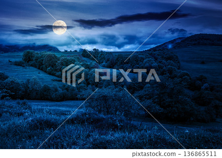 rural area in the valley at night. full moon over green countryside scenery with wooded rolling hills. mountain landscape in springtime. mysterious place for weather photography 136865511