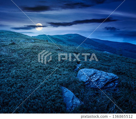mountain landscape during summer at night. alpine meadows on green slopes and hills in full moon light. amazing adventure scenery. mysterious exploration of remote highland location for inspiration 136865512