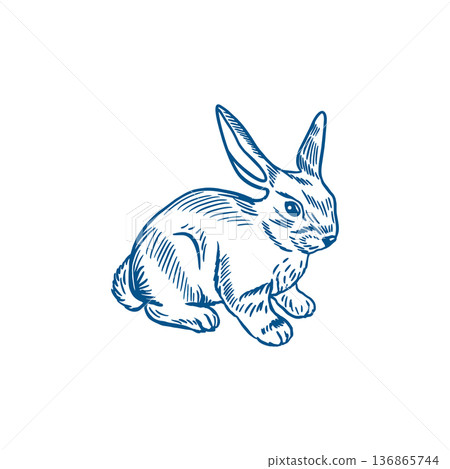 Silhouette of a sitting Easter bunny. Hand drawn vector illustration in line art style. Monochrome clip art for greeting cards, invitations and holiday banners. Silhouette of a sitting Easter bunny. Hand drawn vector illustration in line art style. Monochrome clip art for greeting cards, invitations and holiday banners. 136865744