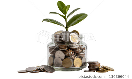 "Money Growth Concept with Coins and Green Plant in Glass Jar 136866044