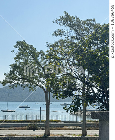 Serene coastal view with sailboats and lush green trees under a clear blue sky Serene coastal view with sailboats and lush green trees under a clear blue sky 136866459