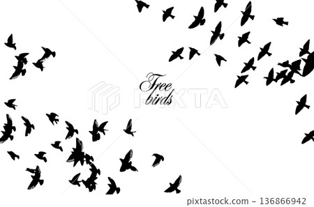 Flying birds silhouette flock. hand drawing. Not AI. Vector illustration 136866942