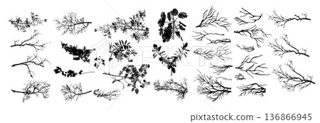 A set of tree branches . hand drawing. Not AI Vector illustration. 136866945