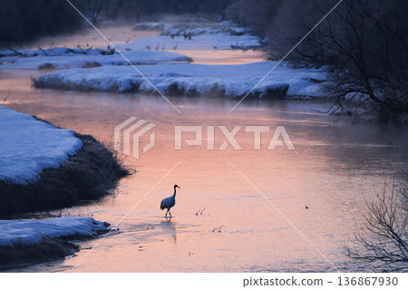 Early morning view from Otowa Bridge 136867930
