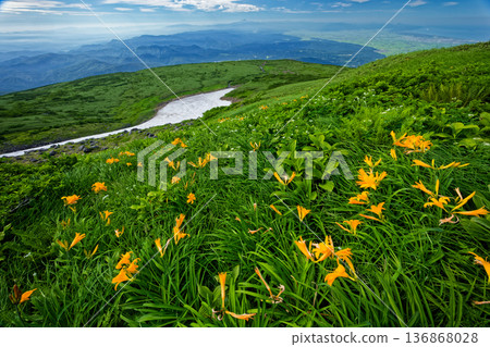 View of the Shonai Plain and Hemerocallis nipponicus near Mount Chokai and Shinjiyuki 136868028