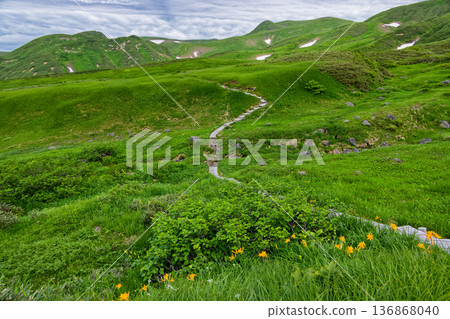 The day lily community at Senjogahara, Mt. Chokai, and the ridgeline near Mihama 136868040