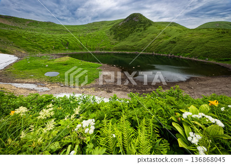 鳥海山、鳥海湖和高山植物 136868045