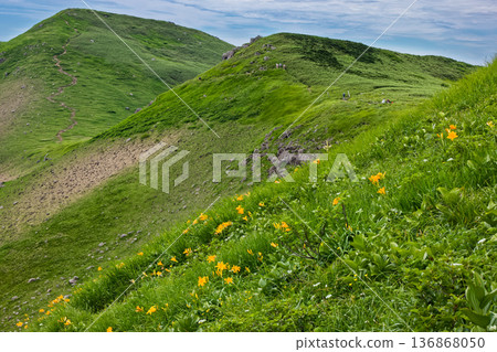 鳥海山、青竹山和萱草群落 鳥海山、青竹山和萱草群落 136868050