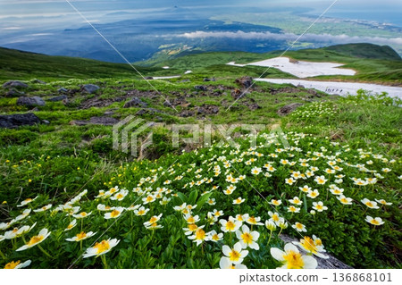 View of the Aleutian Ginseng colony near Mount Chokai and Shinjiyuki, the Shonai Plain, Mount Gassan, and the Sea of Japan View of the Aleutian Ginseng colony near Mount Chokai and Shinjiyuki, the Shonai Plain, Mount Gassan, and the Sea of Japan 136868101