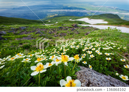View of the Aleutian Ginseng colony near Mount Chokai and Shinjiyuki, the Shonai Plain, Mount Gassan, and the Sea of Japan View of the Aleutian Ginseng colony near Mount Chokai and Shinjiyuki, the Shonai Plain, Mount Gassan, and the Sea of Japan 136868102