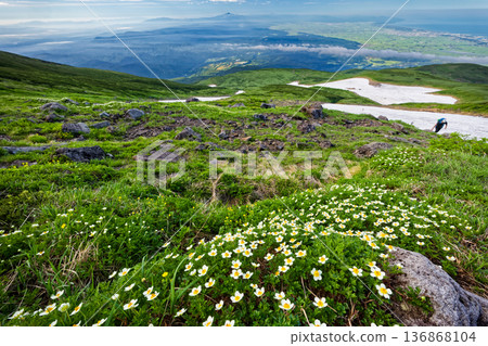 從鳥海山和新地雪山附近可以看到阿留申天竺葵群落、莊內平原、月山和日本海。 從鳥海山和新地雪山附近可以看到阿留申天竺葵群落、莊內平原、月山和日本海。 136868104