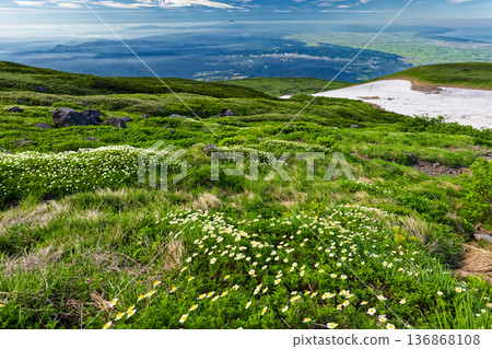 A view of the Aleutian Ginseng colony near Mount Chokai and Shinjiyuki, and the Shonai Plain and Mount Gassan A view of the Aleutian Ginseng colony near Mount Chokai and Shinjiyuki, and the Shonai Plain and Mount Gassan 136868108