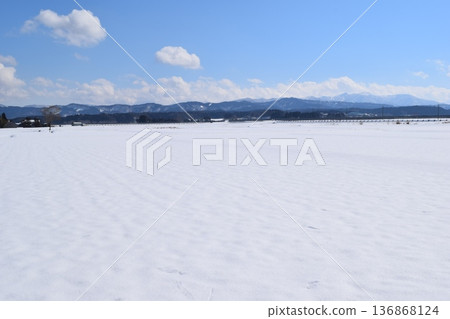 山形縣莊內雪國的田園風光 136868124
