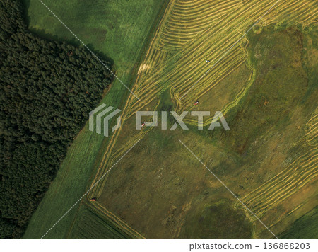 Aerial View of Summer Fields and Forest Near Berezivka, Belarus Aerial View of Summer Fields and Forest Near Berezivka, Belarus 136868203