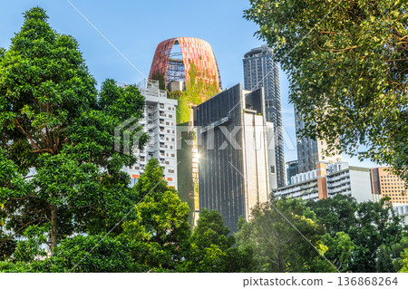 Modern skyscrapers rising above tropical greenery in the financial district, combining contemporary architecture and urban nature in Singapore city 136868264