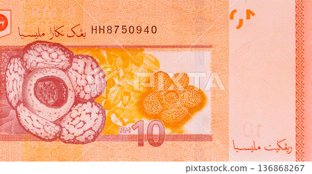 Malaysian cash banknote currency is represented by Malaysian paper banknotes in denominations ten ringgit back side 136868267