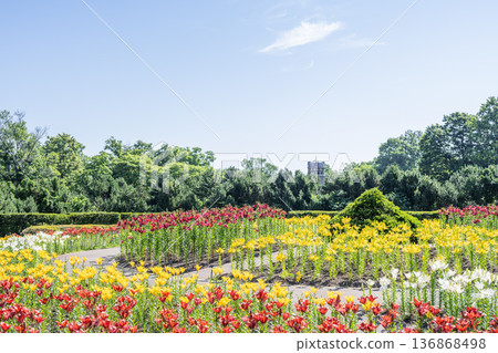 Yurigahara Park, Yurigahara Park, 札幌市 136868498