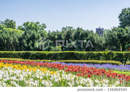 Yurigahara Park, Yurigahara Park, Sapporo City 136868504