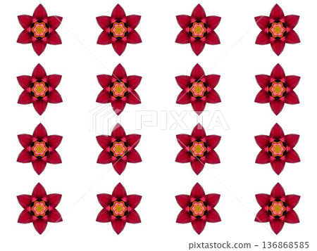 Red flower	 136868585