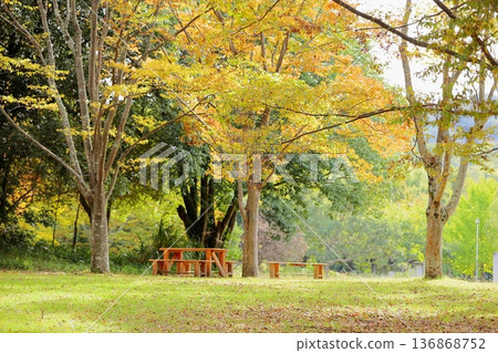 秋天的公園 秋天的公園 136868752