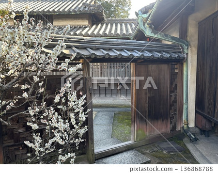 Old private house plum 136868788