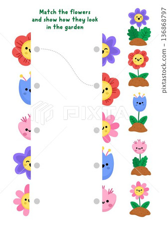 Join halves of the flowers. Garden matching activity for children. Spring or summer educational quiz worksheet for kids for attention skills. Printable game with cute smiling kawaii plants Join halves of the flowers. Garden matching activity for children. Spring or summer educational quiz worksheet for kids for attention skills. Printable game with cute smiling kawaii plants 136868797