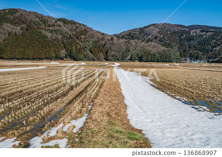 Rural scenery of Makino Town in early spring, Takashima City, Shiga Prefecture 136868907