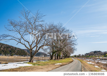 Farm road along the Chiuchi River, Makino Town, Takashima City, Shiga Prefecture Farm road along the Chiuchi River, Makino Town, Takashima City, Shiga Prefecture 136869086
