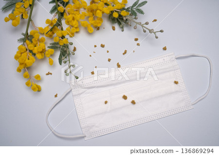 含羞草花和不織布口罩的產品攝影 136869294