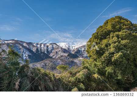 滋賀縣高島市牧野町早春森林景色 滋賀縣高島市牧野町早春森林景色 136869332