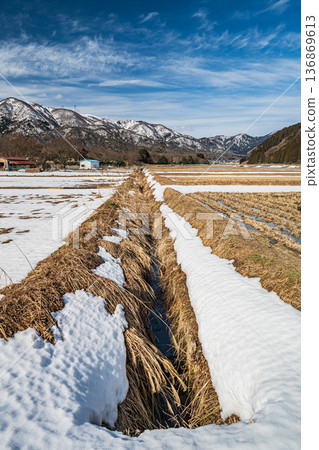 Rural scenery of Makino Town in early spring, Takashima City, Shiga Prefecture Rural scenery of Makino Town in early spring, Takashima City, Shiga Prefecture 136869613