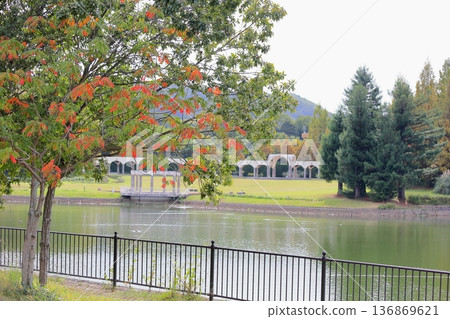秋日公園:色彩繽紛的漆樹枝葉。 秋日公園:色彩繽紛的漆樹枝葉。 136869621