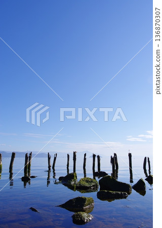 滋賀郡－寧靜的湖畔和木樁 136870307
