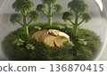 Coins placed in a glass dome surrounded by green trees and small plants on a mossy base business finances 136870415