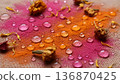 Colorful powders and water droplets create a bright scene on a textured surface with dried flowers on display in a creative setup holi color festival 136870425