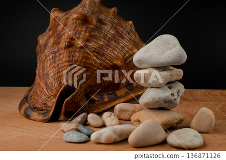 Seashells and stones, on a blackboard on a black background Seashells and stones, on a blackboard on a black background 136871126