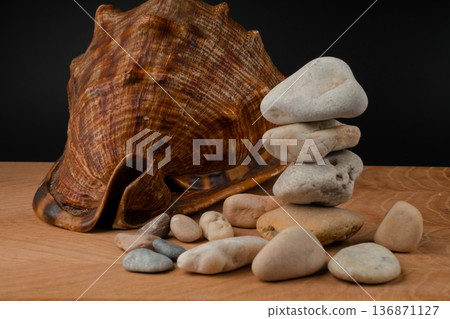 Seashells and stones, on a blackboard on a black background Seashells and stones, on a blackboard on a black background 136871127