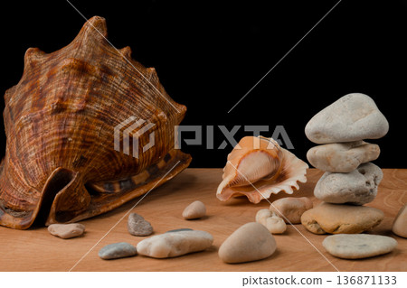 Seashells and stones, on a blackboard on a black background Seashells and stones, on a blackboard on a black background 136871133